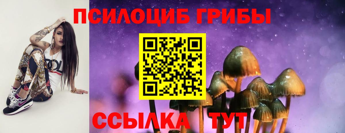 Галлюциногенные грибы ЛСД  Вход с VPN  где купить   Урюпинск 